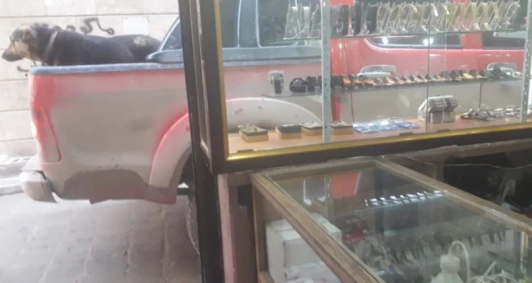 المعارضة تعتقل أحد عناصرها في مدينة الباب بريف حلب بسبب أغنية!!