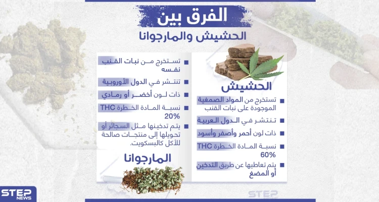 الفرق بين الحشيش والمارجوانا