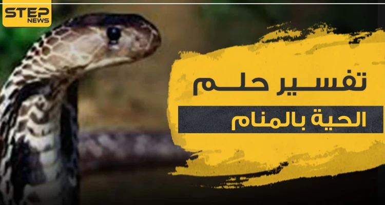 تفسير حلم الحية بالمنام بأكثر من 5 روايات ووفق كل الأوضاع