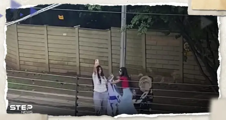 بالفيديو|| امرأة علقت علم فلسطين بمنزلها في دولة أفريقية وتفاجأت بردة فعل إسرائيليات تحت شرفتها: أخبار