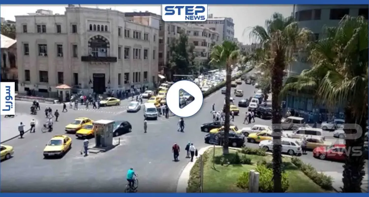 بالفيديو|| حيوان غير مألوف يتجول وسط دمشق في ظل حظر التجوال: أخبار