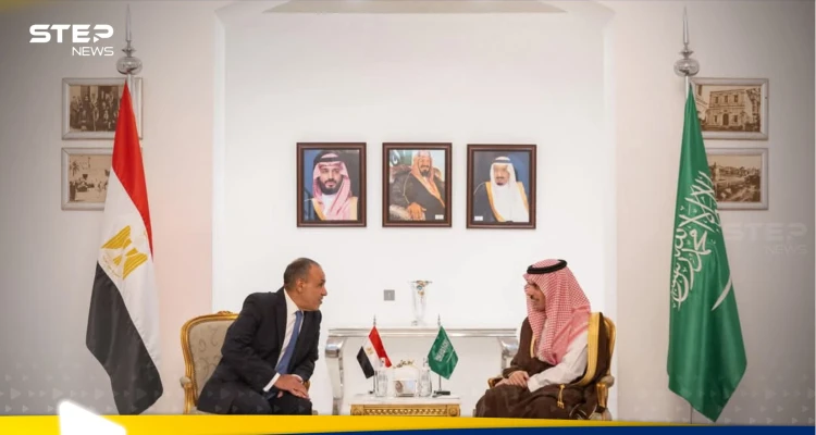 بيان سعودي مصري مشترك.. ماذا تضمن عن سوريا