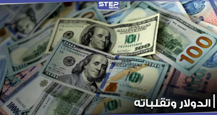 متى يجب الاحتفاظ بالدولار أو التخلي عنه.. خبراء في عالم المال والاقتصاد يجيبون