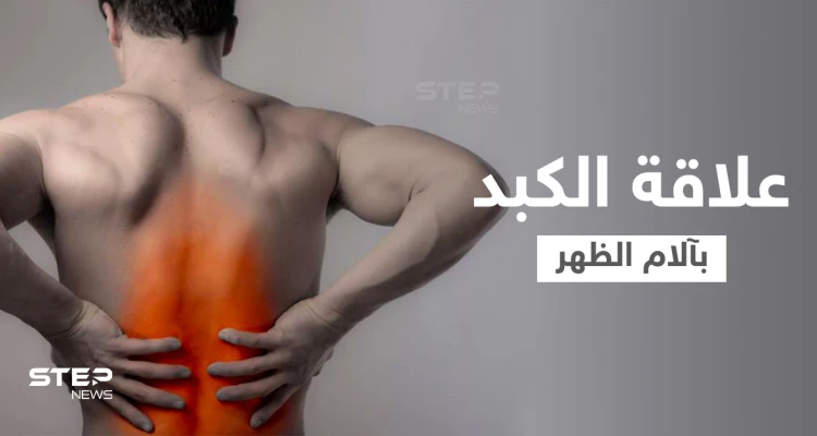هل الكبد يسبب ألم الظهر وما هي الأعضاء الداخلية الأخرى التي تؤدي إلى ذلك