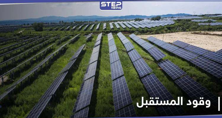 إحدى حلول التغير المناخي.. عاصمة عربية تعلن إنتاج الهيدروجين وتصديره