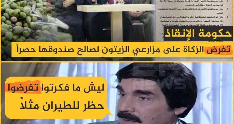 حكومة الإنقاذ الزكاة تفرض الزكاة على مزارعي الزيتون لصالح صندوقها حصراً