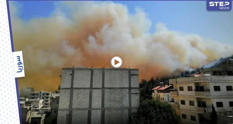 بالفيديو|| النيران تحاصر الغابات... حرائق سوريا تلتهم المزيد بمعقلين للأسد تزامناً مع انتفاضة شعبية