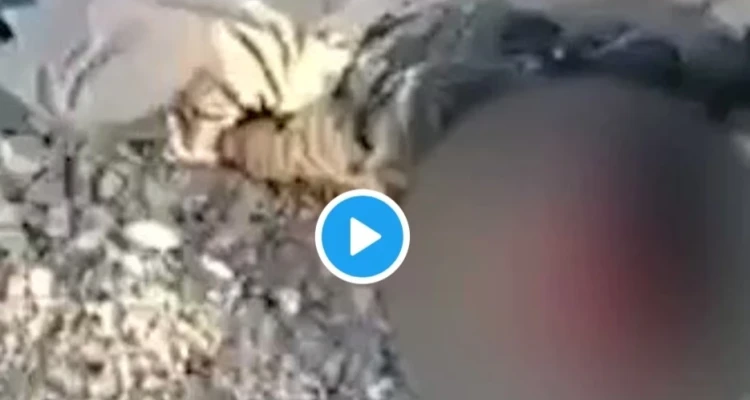 بالفيديو|| ميليشيا الحوثي تقتل طفلاً أثناء إحضاره الماء لأسرته.. والإرياني يكشف حصيلة استهداف منزل زعيم قبلي