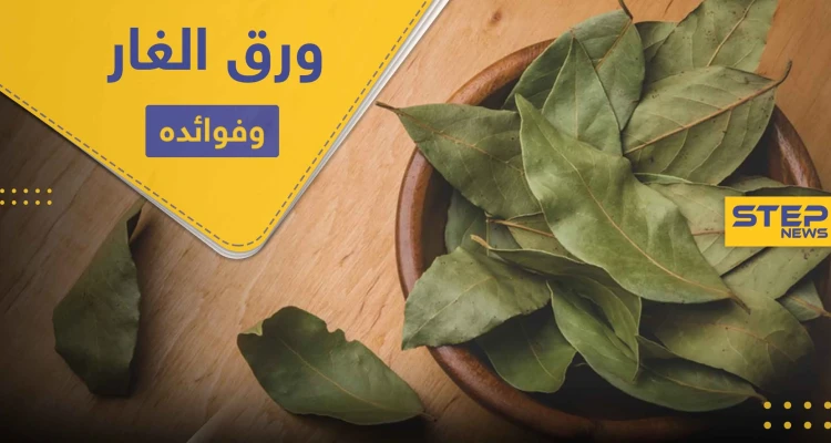فوائد ورق الغار المبهرة منها الوقاية من الجلطات المفاجئة.. إليك 10 منها