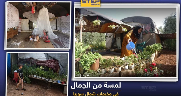 لمسة من الجمال في مخيمات الشمال السوري