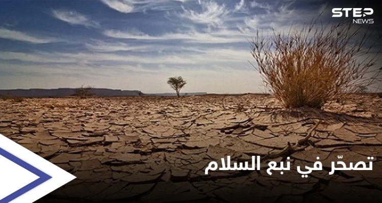 أزمة وقود تعطّل الأفران وتهدد محاصيل زراعية في مناطق "نبع السلام" شمال سوريا