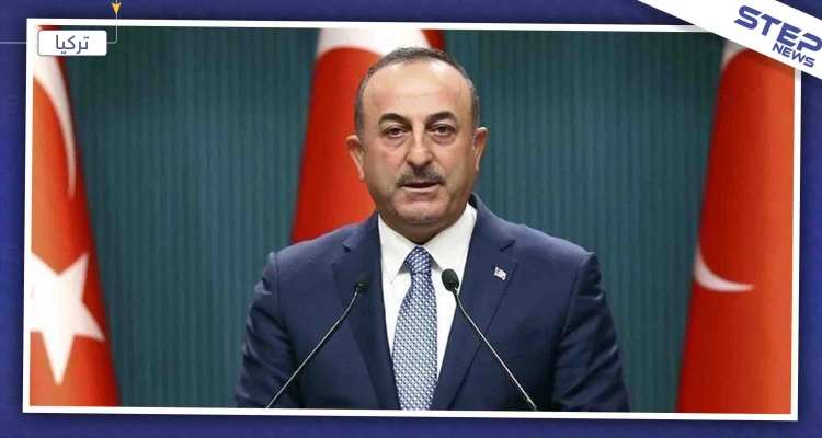 وزير الخارجية التركي: المنطقة الآمنة ستنقذ مستقبل سوريا السياسي