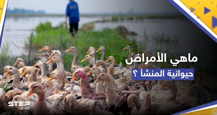 لماذا تتزايد الأمراض التي تنتقل من الحيوانات إلى البشر.. دراسة تجيب