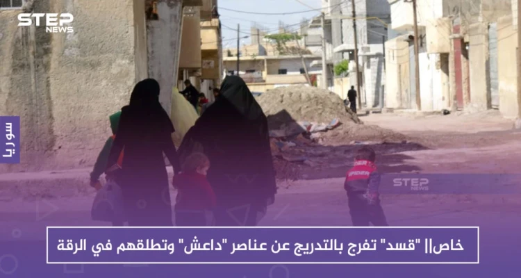 خاص|| "قسد" تفرج بالتدريج عن عناصر "داعش" وتطلقهم في الرقة وريفها الغربي!!