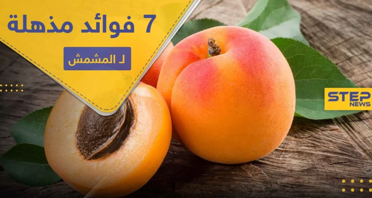 7 فوائد مذهلة لـ المشمش.. بينها الحماية من السرطان