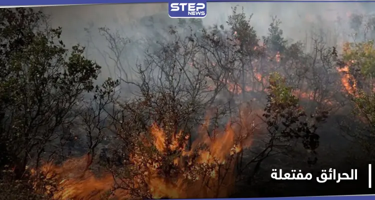 حرائق الساحل السوري تحصد مزيدًا من الضحايا.. وروسيا تتبنى رواية أنها مفتعلة بإشارة لإيران: أخبار