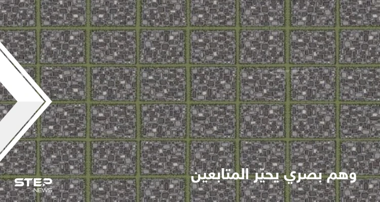 يسبب الشعور بـ"الدوار والصداع".. وهم بصري غريب يحير رواد مواقع التواصل