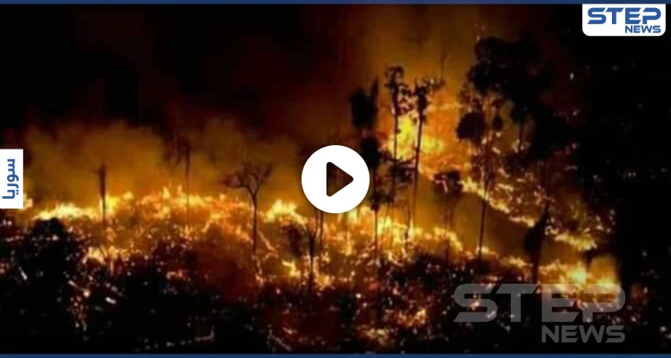 بالفيديو والصور|| الساحل يشتعل.. حرائق الغابات السورية تلتهم الأخضر واليابس بفعل مجهول والنظام عاجز