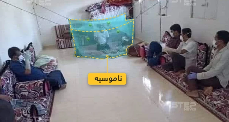 الحجر الصحي بالناموسية!