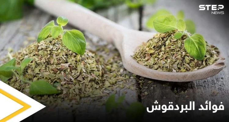 حقيقة أم خرافة.. علاج تكيس المبايض وبطانة الرحم المهاجرة باستخدام البردقوش إليك أهم المعلومات