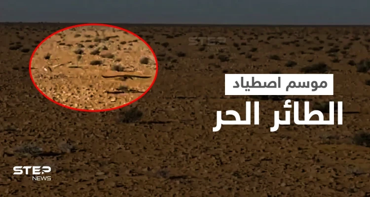 بالفيديو || كيف يُصطاد الطائر الحر في بادية الشامية بريف الرقة