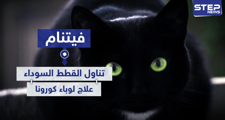 فيتنام تتجه لأكل القطط السوداء ظنًا أنها تعالج المصابين بفيروس كورونا