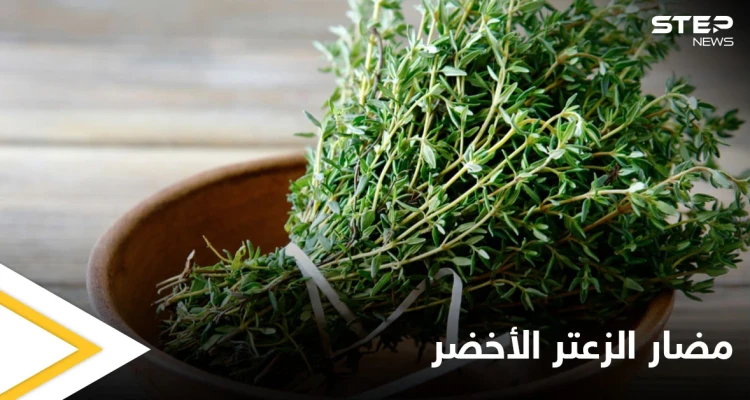 قد يؤدي إلى الإجهاض.. تعرف على مضار الزعتر الأخضر على المرأة الحامل