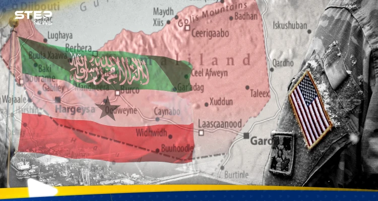رسالة إلى 130 دولة وتحركات في واشنطن.. أرض الصومال قد تغيّر موازين القوى الأفريقية