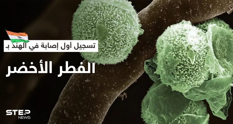 الهند تسجل أول إصابة بالفطر الأخضر في العالم.. وطبيب يشرح أعراضه