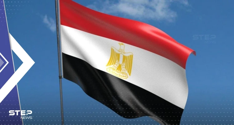 انتبهوا من هذه الألوان.. مصر تصدر تعليمات تتعلق بتصرفات تجذب القروش