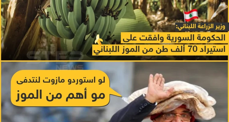 الاستيراد المناسب في الزمان المناسب?