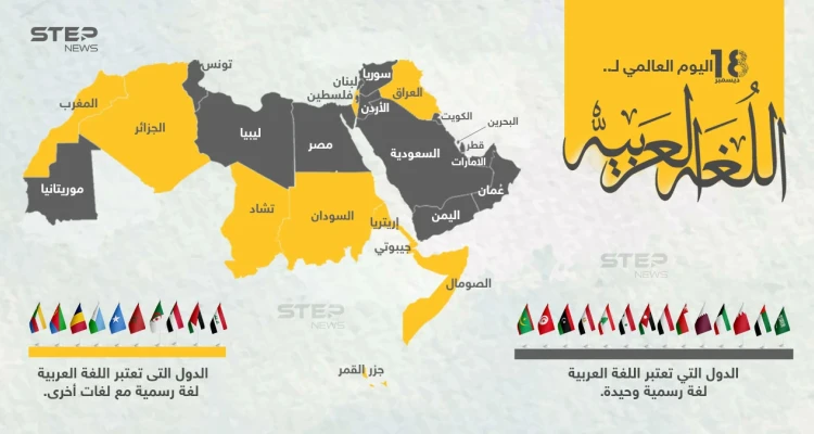 في اليوم العالمي للغة العربية، تعرّف على الدول التي تعتمدها لغة رسمية أو  لغة ثانية.