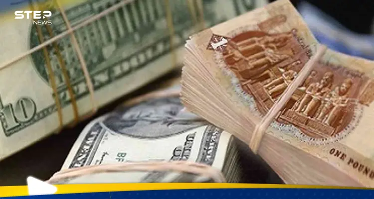 "مفاجآت" حول تجار العملة الأجنبية في مصر.. شبكات وأسماء رنانة: أخبار