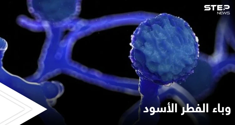 مخاوف من الفطر الأسود.. والصحة العالمية تحذر دولة عربية من وصول المتحور الهندي إليها