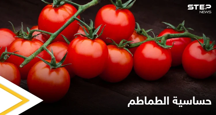 ما هي حساسية الطماطم وهل هي خطيرة تعرف إلى أهم المعلومات عنها