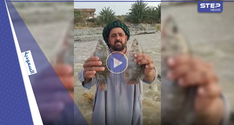 شاهد|| ظاهرة غريبة في السعودية حيرت الجميع.. أسماك في سيول الطائف فكيف وصلت
