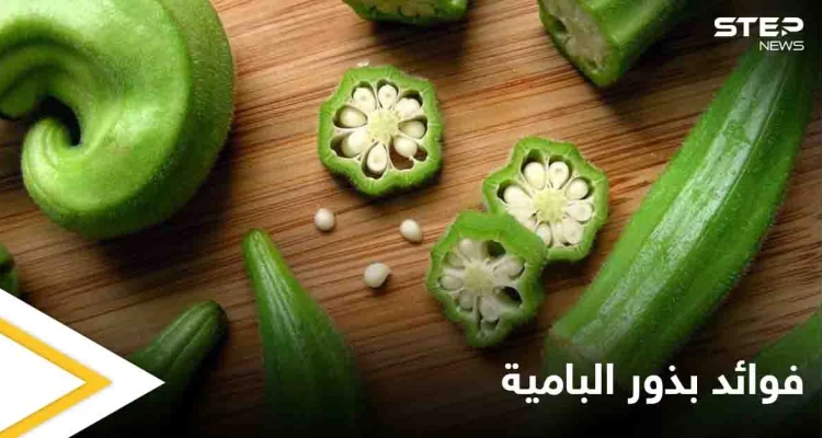 بذور البامية.. فوائد لا يمكن حصرها ومنها علاج السرطان ومكافحة هشاشة العظام