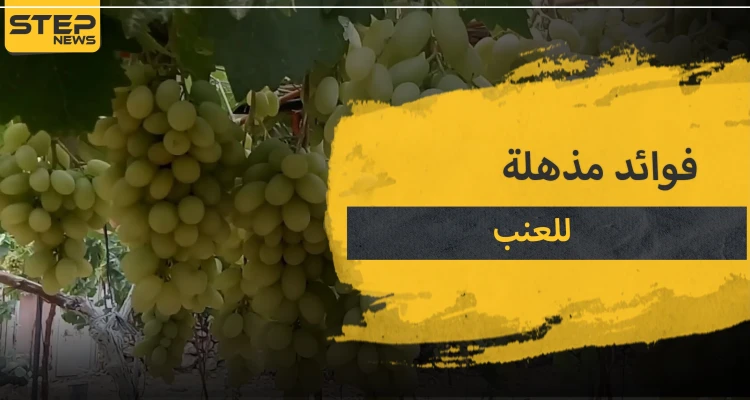 15 فائدة مذهلة لـ العنب .. تعرف عليها قبل أن يفوتك موسمها