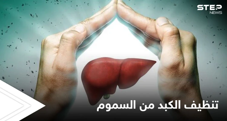 تنظيف الكبد من السموم.. تعرف على الأطعمة التي تساعد على أداء هذه العملية