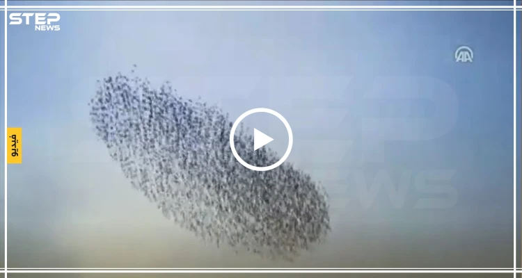 بالفيديو || أهالي أحد المدن التركية يستفيقون على هذا المشهد الذي غطى السماء