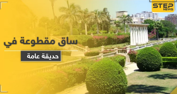 العثور على ساق لفتاة مدفونة في حديقة عامة وسط حلب والطب الشرعي يوضح
