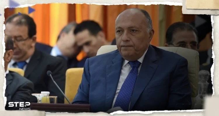 الخارجية المصرية تكشف تفاصيل لقاء شكري وبيدرسون حول الملف السوري