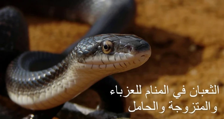 تفسير حلم الثعبان في المنام لابن سيرين ... احذر منه