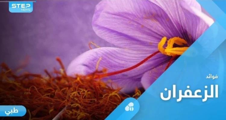 من أغلى النباتات في العالم.. الزعفران صيدلية متكاملة لعلاج الأمراض