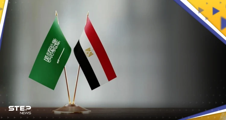 مشروع ضخم في مصر بتمويل سعودي لبناء محطة طاقة جديدة
