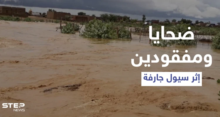 بالفيديو|| قتلى ومفقودين بعد اجتياح الأمطار لإيران والهند وتشكل سيول جارفة خارجة عن السيطرة
