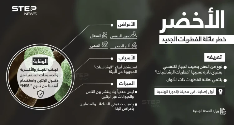 ماذا تعرف عن الفطر الأخضر.. الخطر الجديد