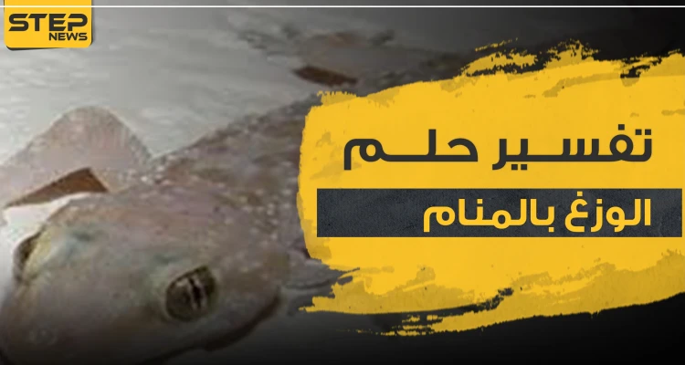 تفسير حلم الوزغ في المنام بجميع دلالاته وحسب ألونه