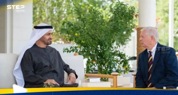 الرئيس الإماراتي وليندسي غراهام