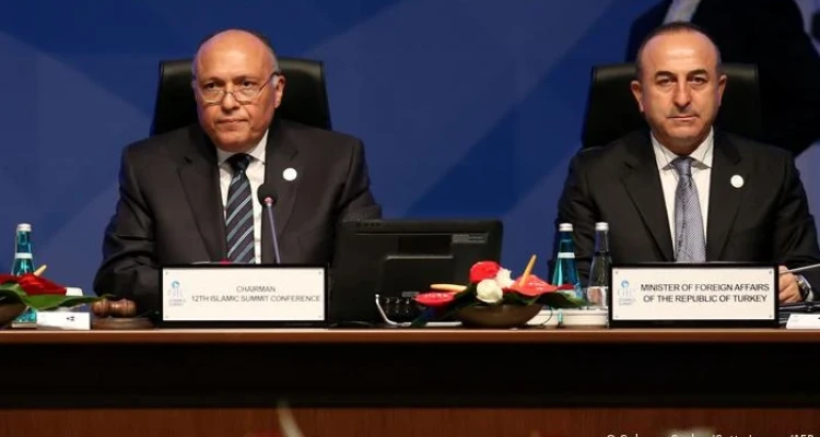 مصر توضح شرط تطبيع علاقتها بتركيا وتوجه رسالة لإيران